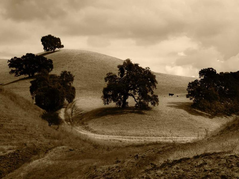 sudoku error checking screenshot 5