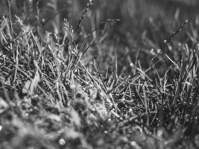 sudoku error checking screenshot 1